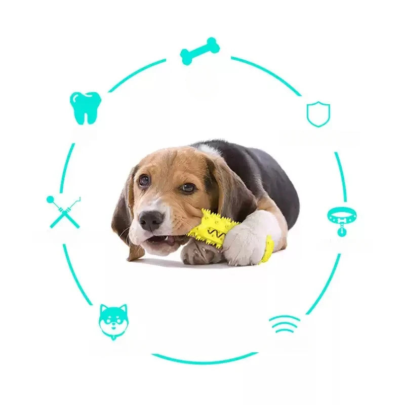 Interactive Squeaky Dog Chew Toy for Play and Teeth Cleaning