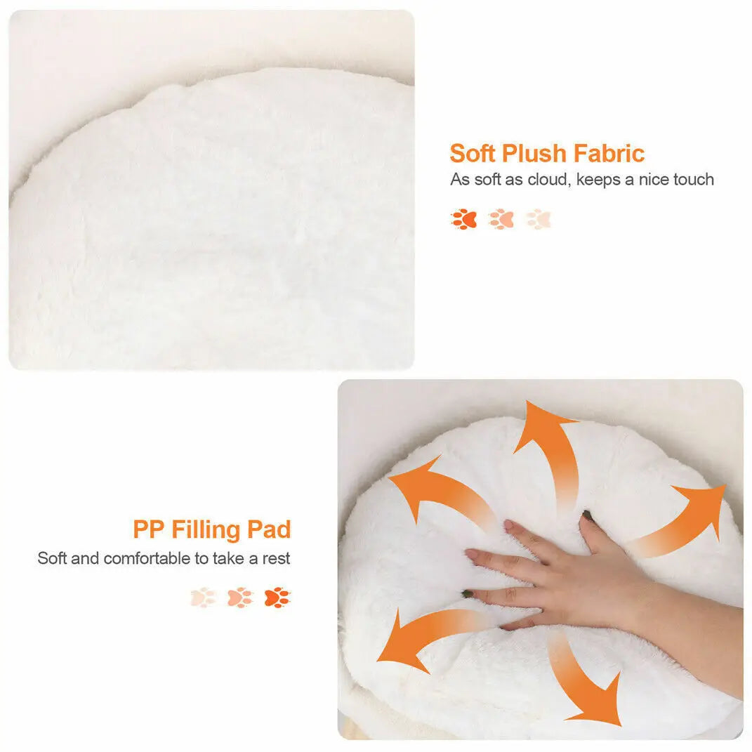 Cozy Cat Bed with Removable Cushion and Anti-Slip Legs
