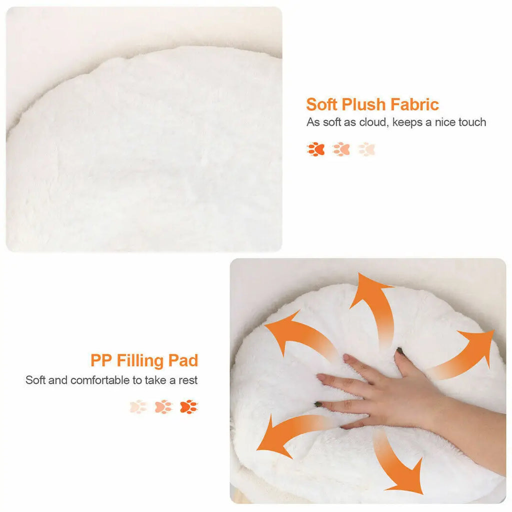 Raised Cat Bed for Small to Medium Pets with Removable Cushion