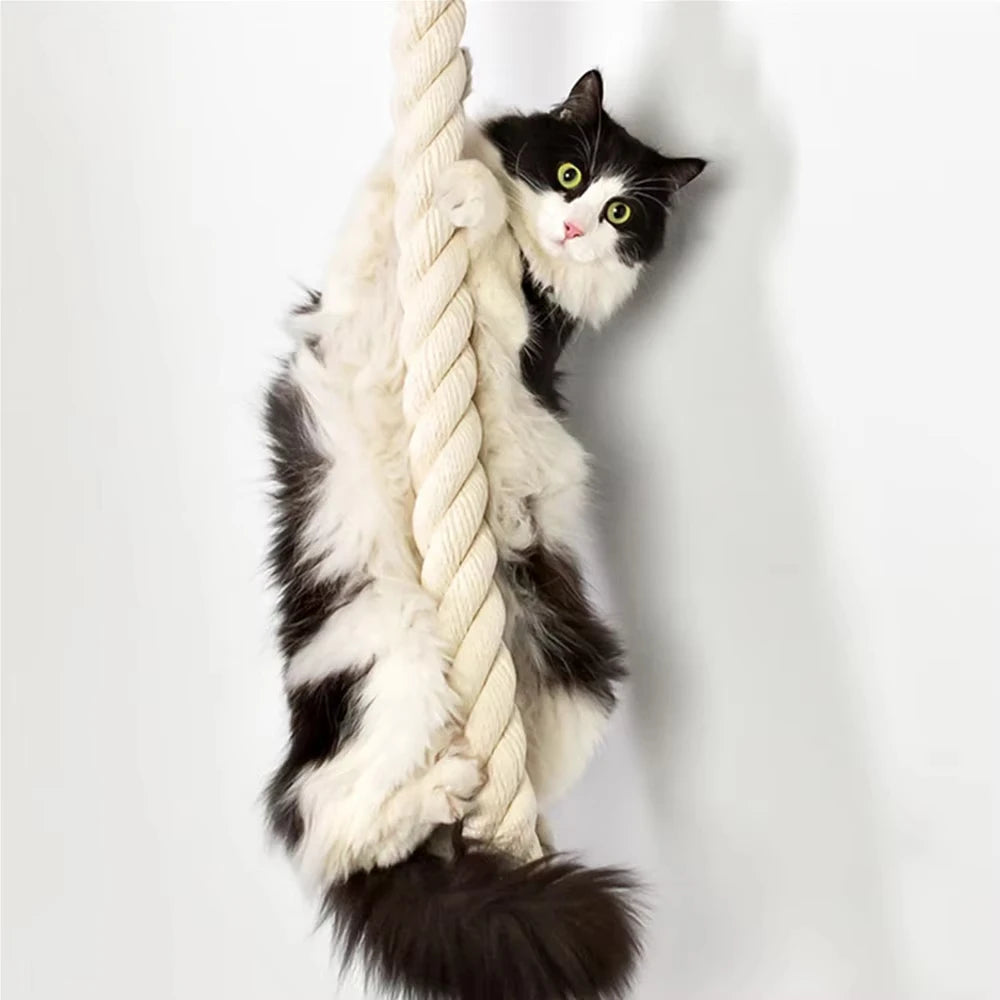 Wall-Mounted Cat Climbing Shelf and Rope Scratching Post