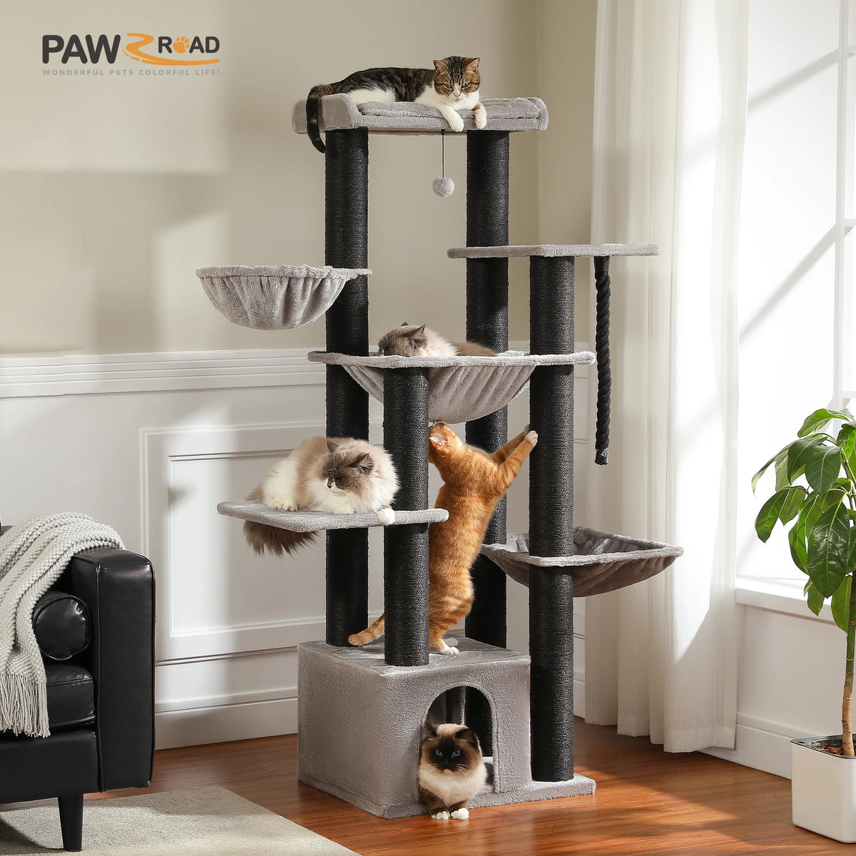 Multi-Level Cat Tree Built for Large Cats and Multi-Cat Homes