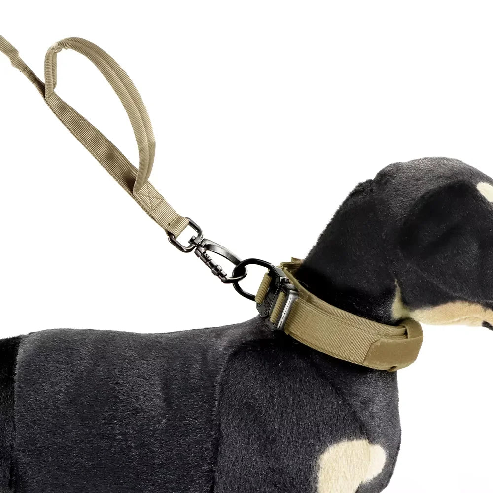 Dual-Handle Dog Leash with Shock-Absorbing Bungee for Walks and Training