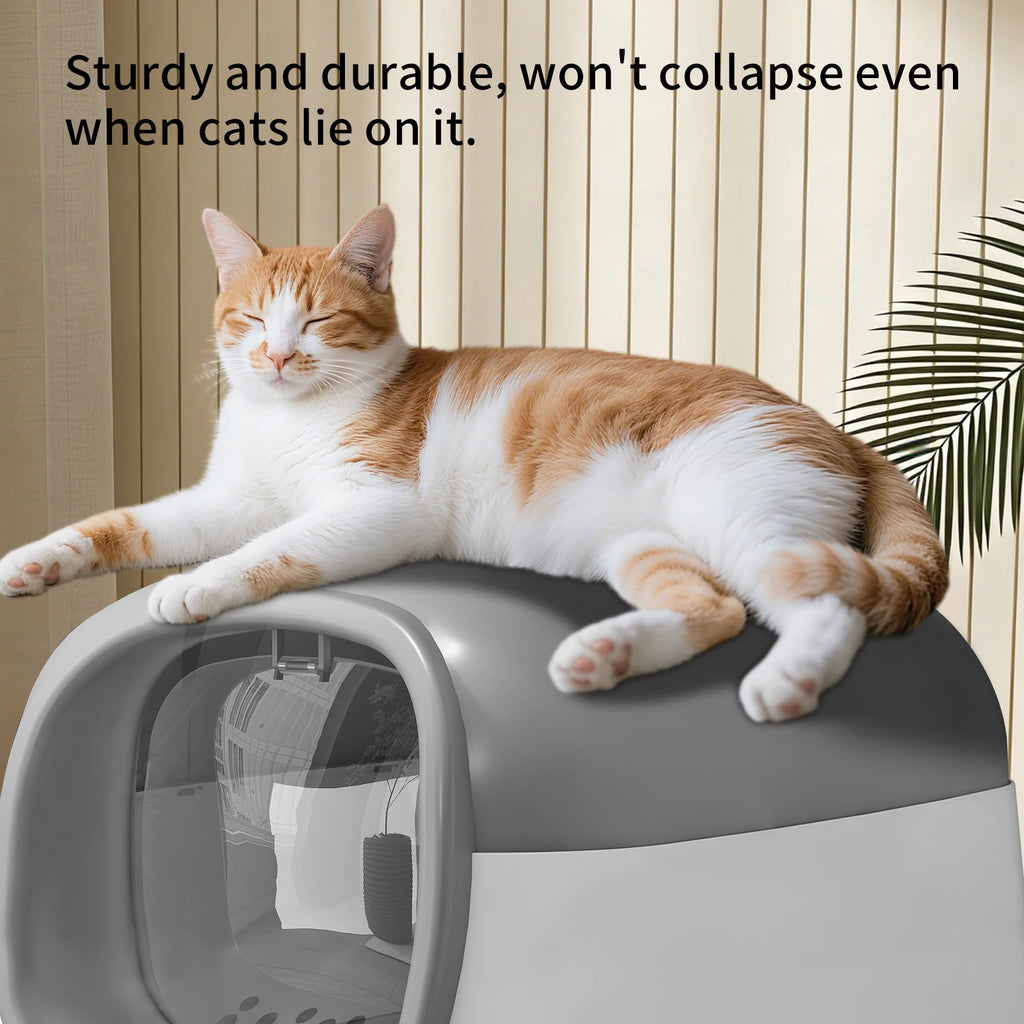 Spacious Open-Top Cat Litter Box with Clear Sides and Scoop