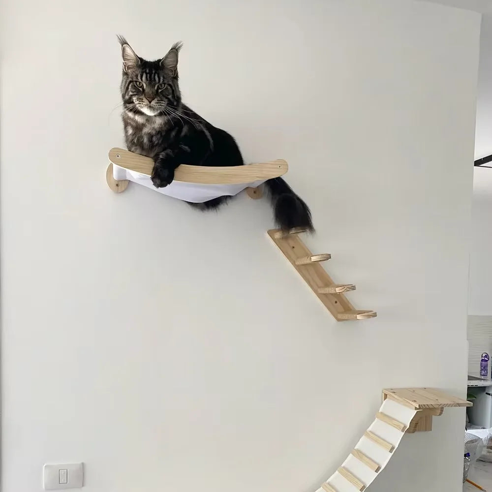 Wall-Mounted Cat Hammock and Stairway for Vertical Territory