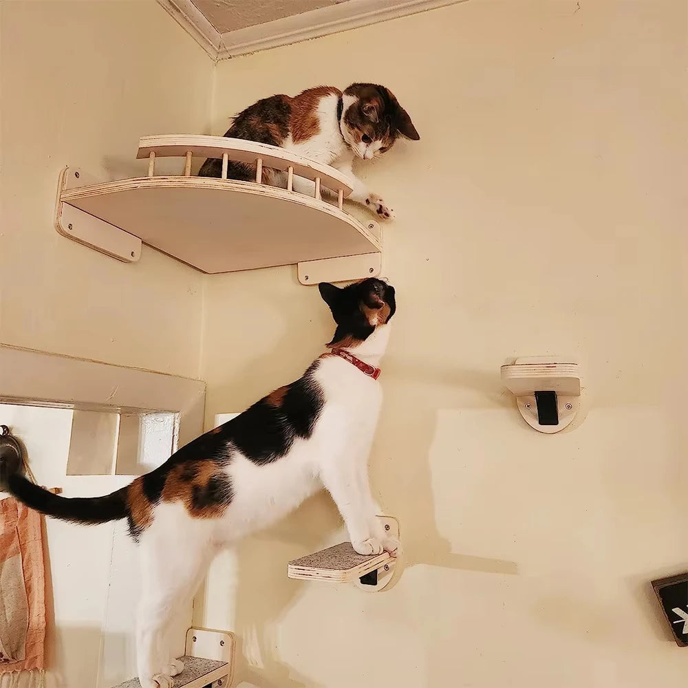 Wall-Mounted Cat Climbing Shelves for Exercise and Napping