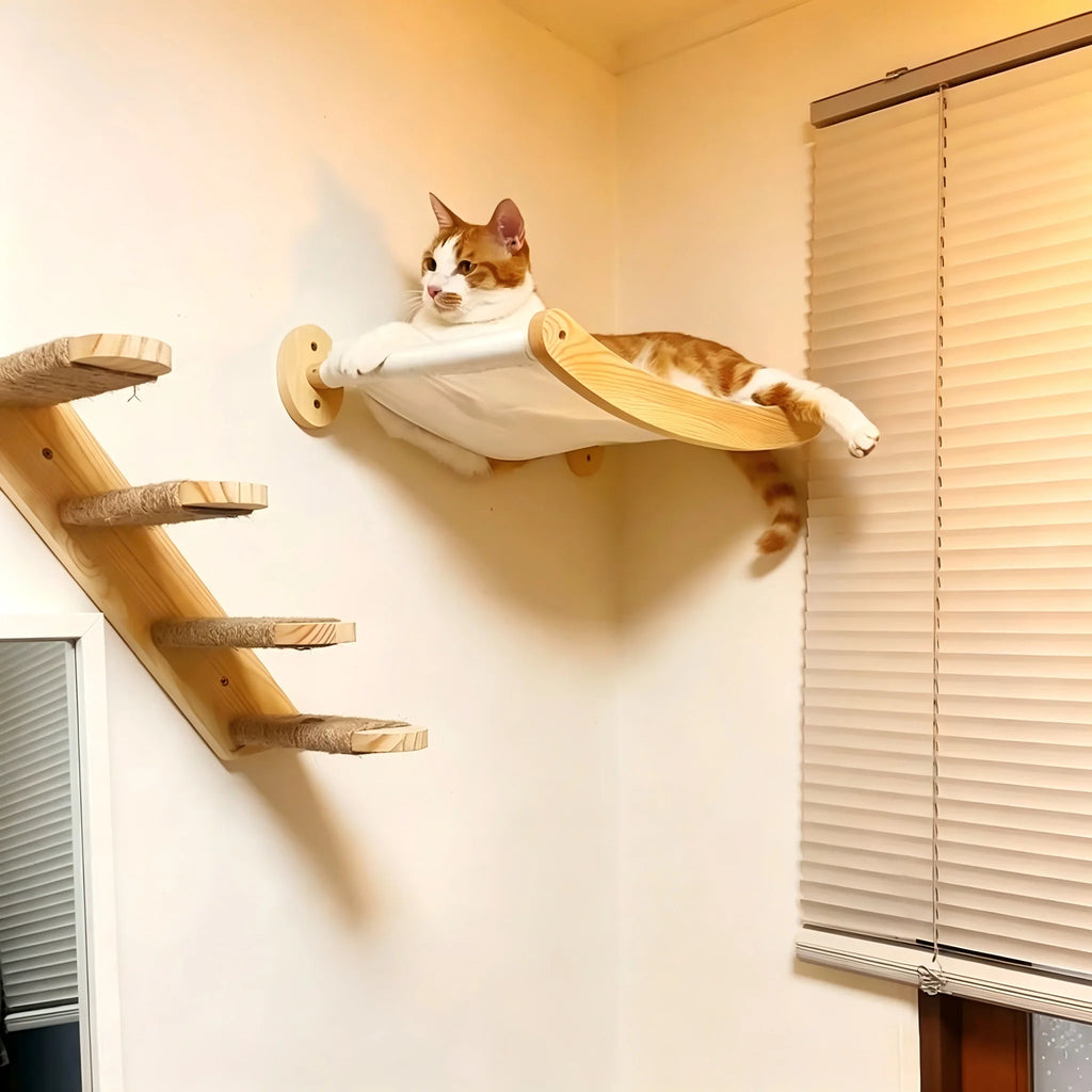 Wall-Mounted Cat Hammock and Stairway for Vertical Territory