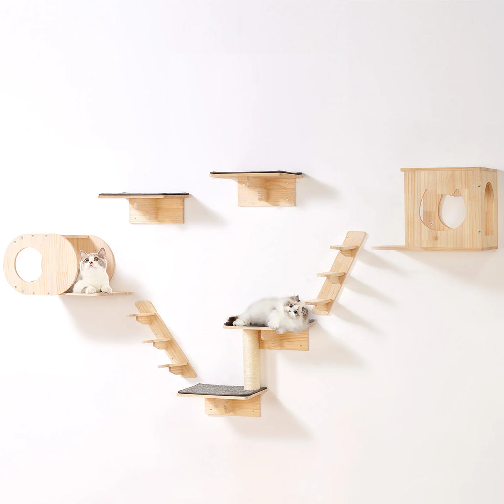 Wall-Mounted Cat Shelves with Jumping Boards and Hammocks