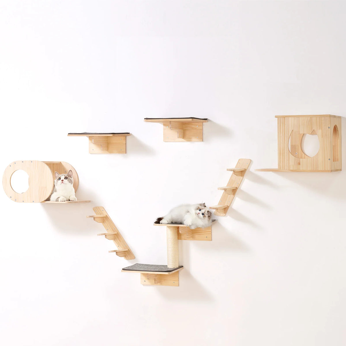 Wall-Mounted Cat Shelves with Jumping Boards and Hammocks