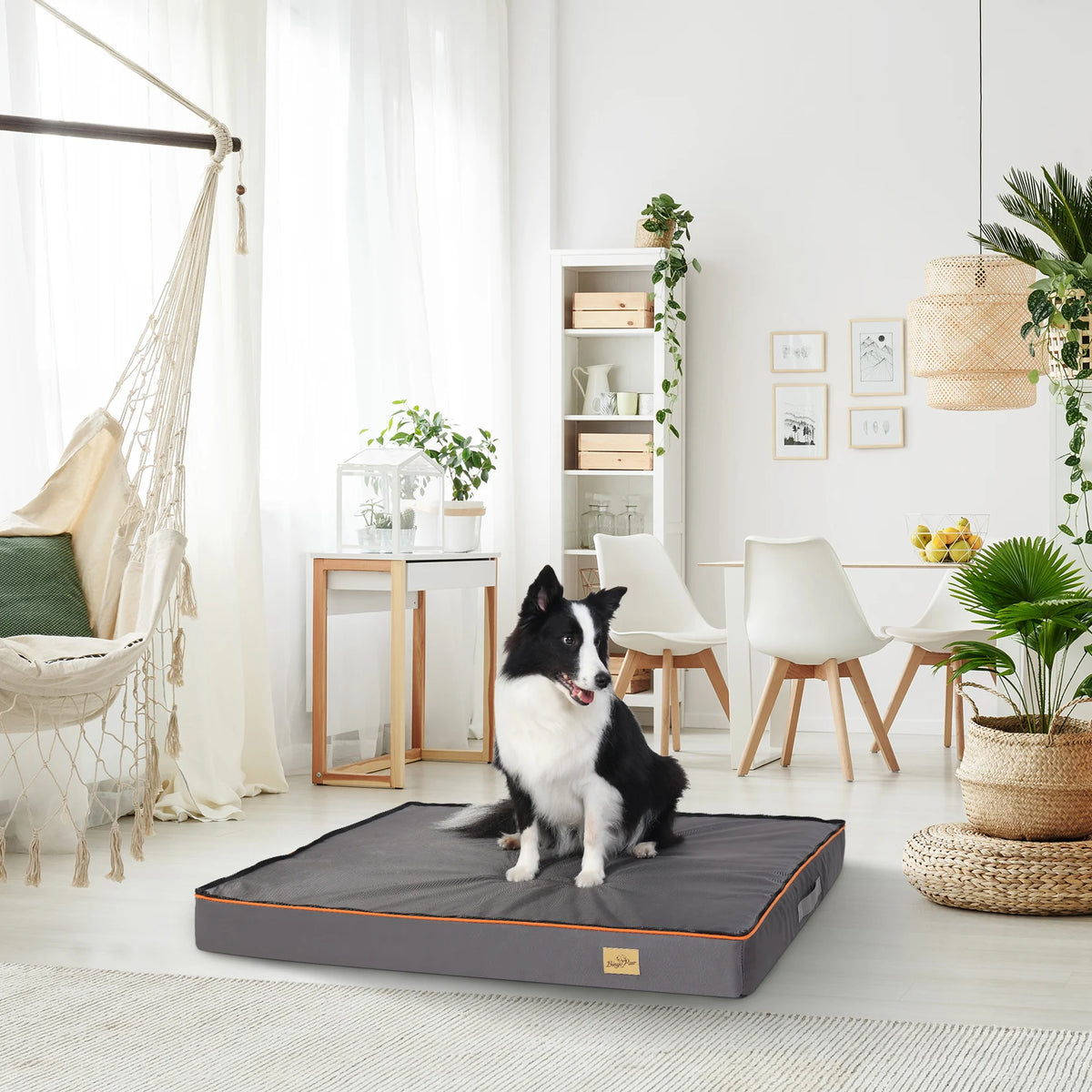 Rectangular Cushioned Dog Bed with Washable Cover and Plush Mattress
