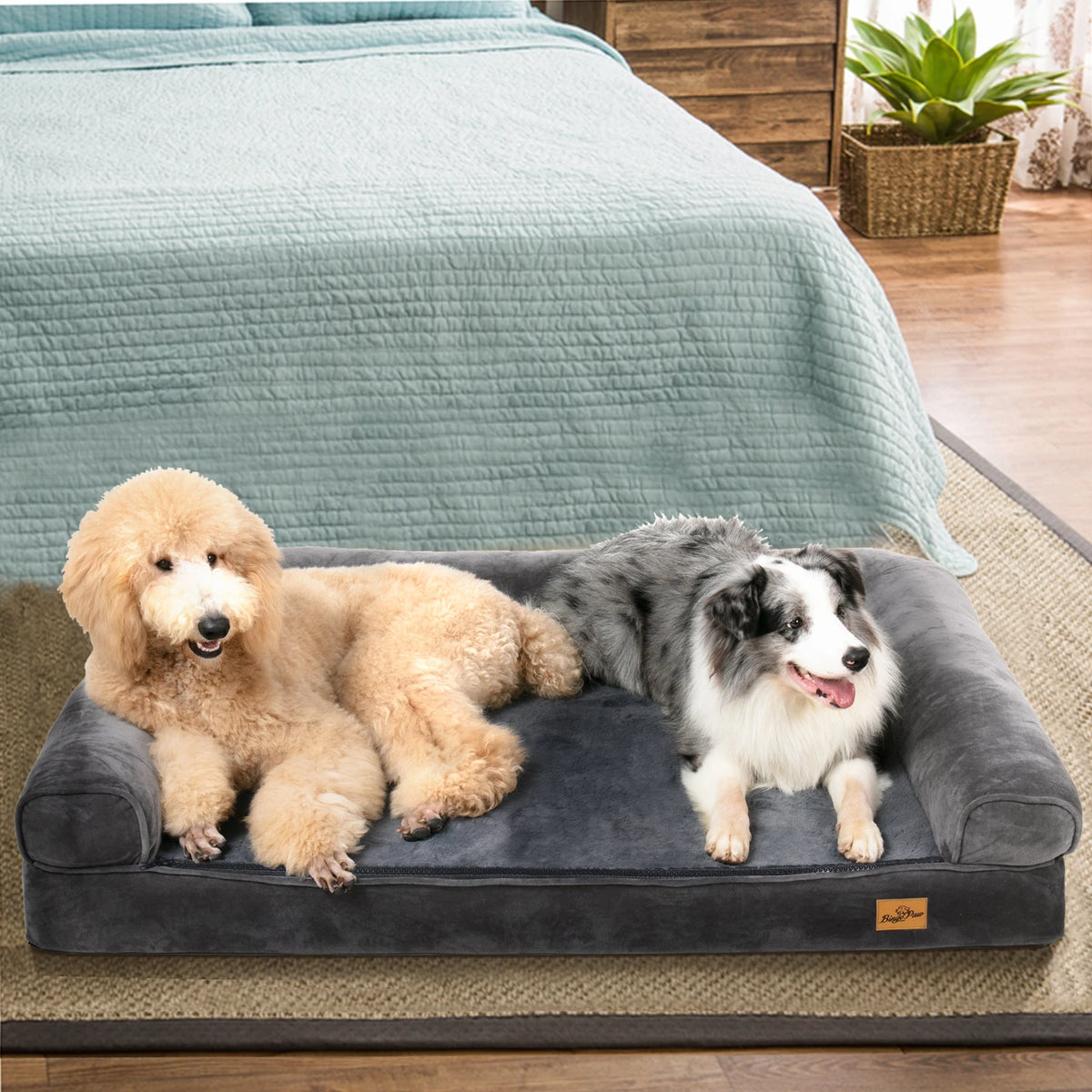 Sofa-Style Dog Bed with Raised Bolster Rim and Cushioned Base