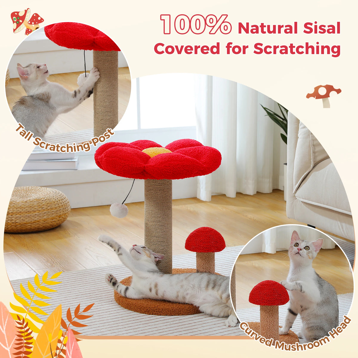 Small Cat Scratcher with Flower Perch and Hanging Pom-Pom Toy