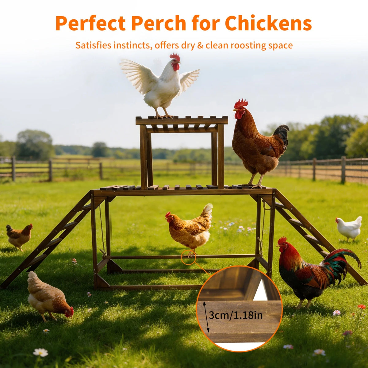 Chicken Coop Climbing Ladder with Swing and Roosting Perch