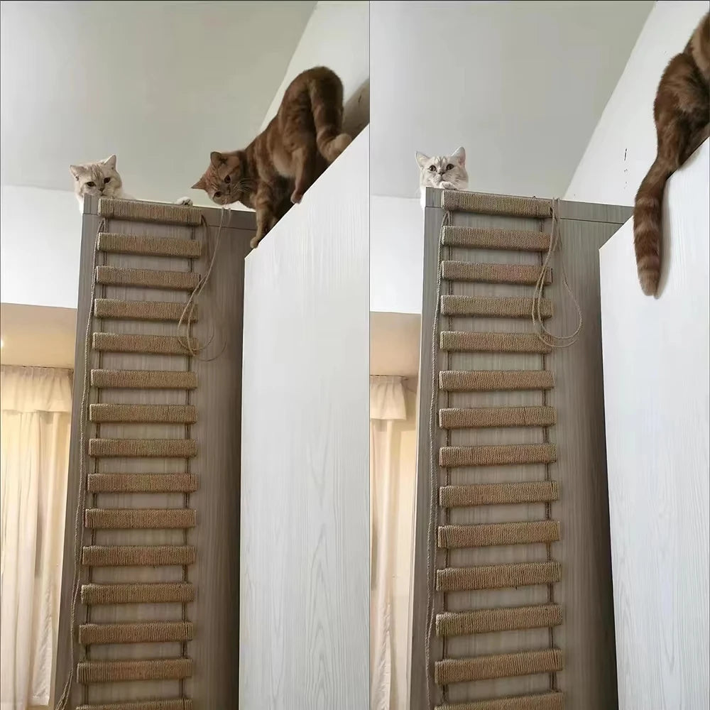 Customizable Cat Climbing Bridge for Enclosures and Wall Mounting