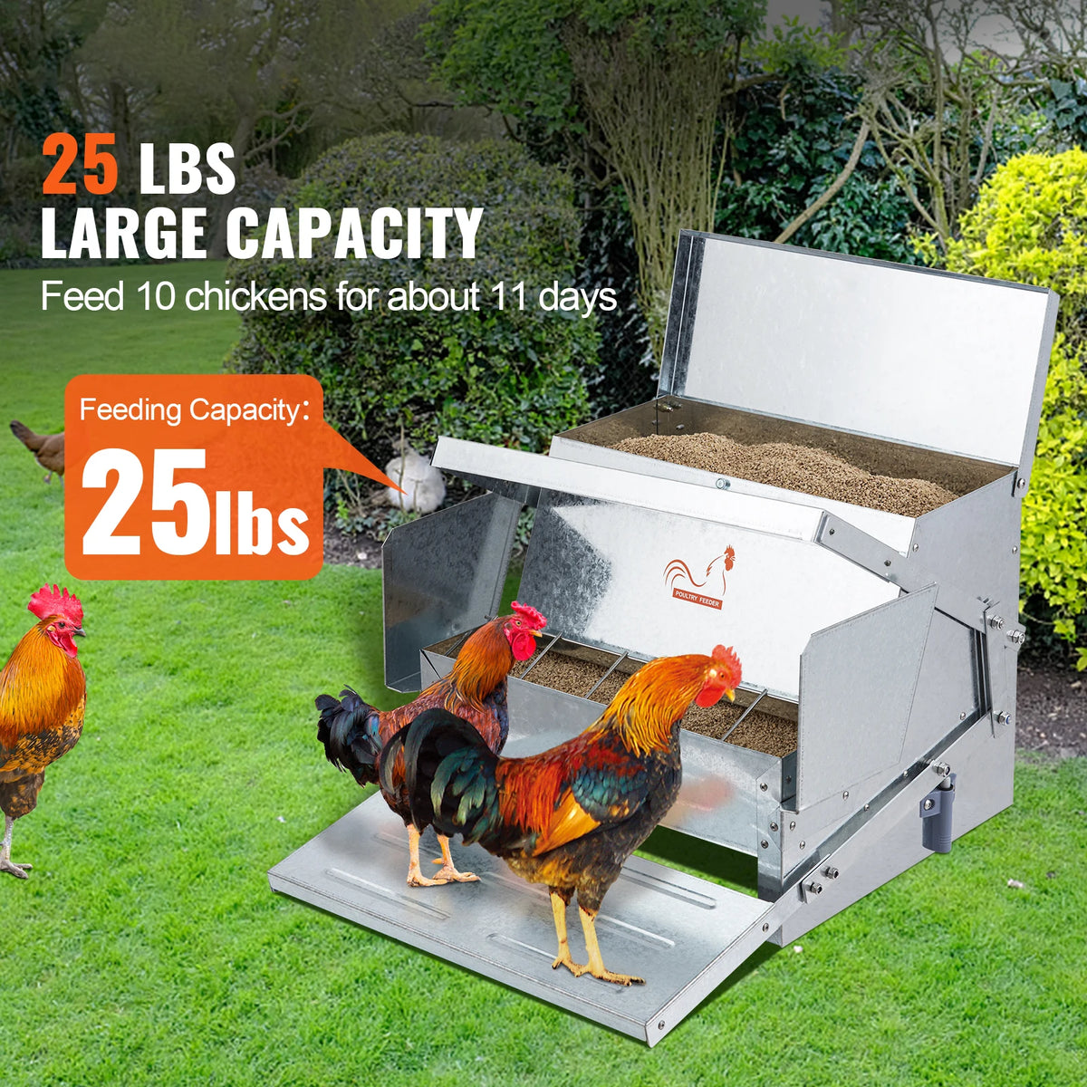 Magnetic-Lock Treadle Chicken Feeder for Backyard Poultry