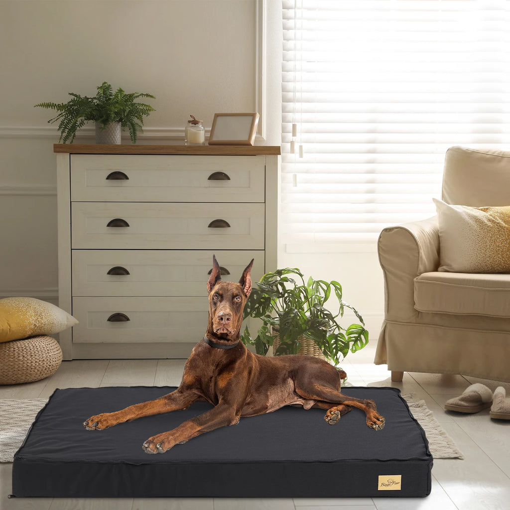 Washable Dog Pillow Bed with Supportive Base and Removable Mattress