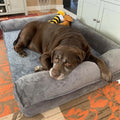 Soft Bolster Sofa Bed for Large Dogs with Washable Cover