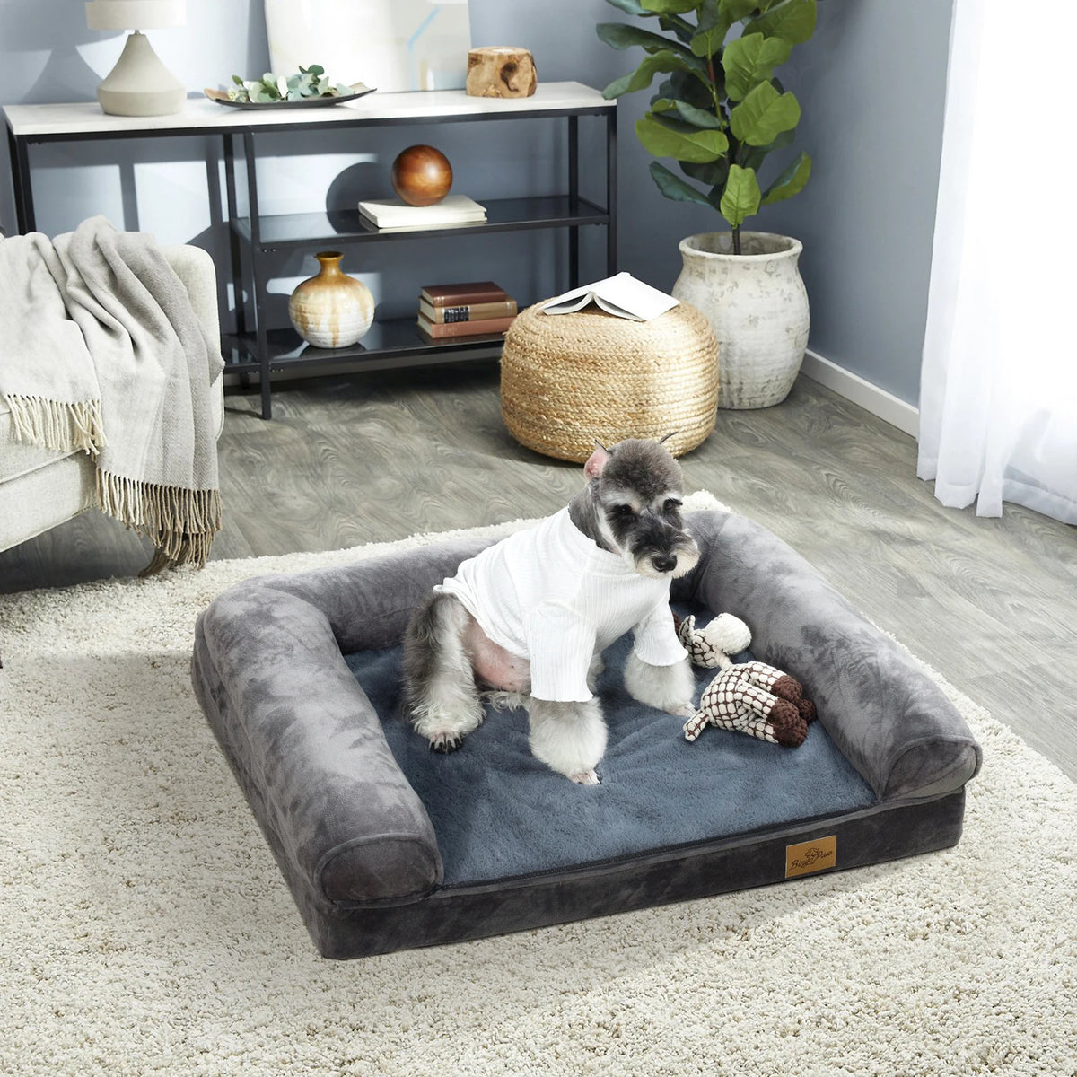 Sofa-Style Dog Bed with Raised Bolster Rim and Cushioned Base