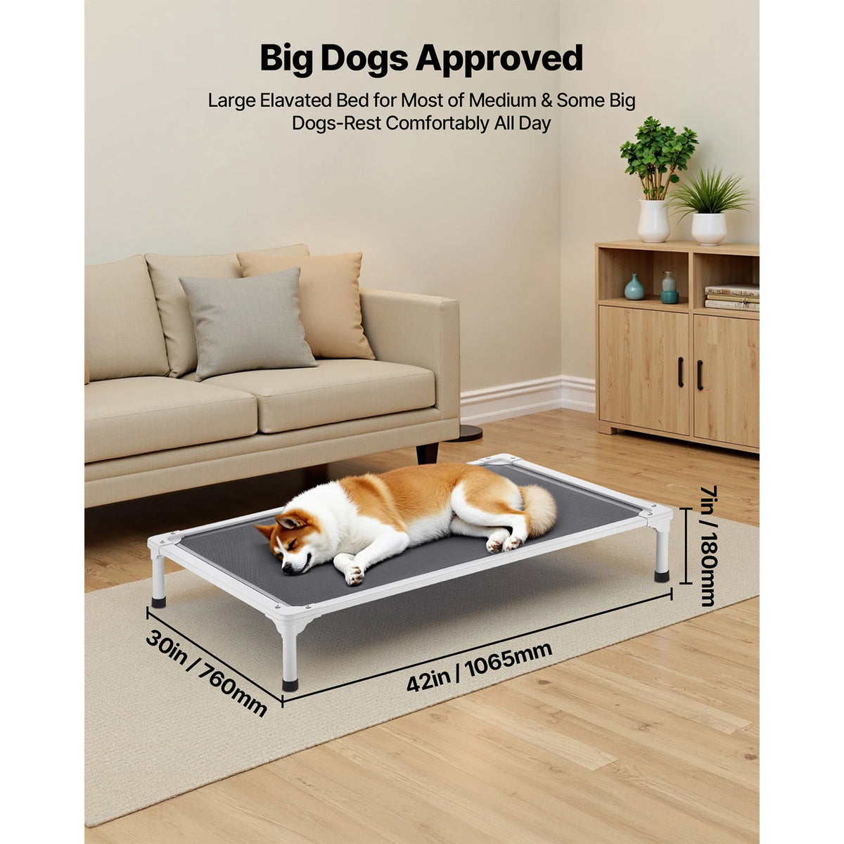 Elevated Mesh Dog Cot for Airflow Indoors and Outdoors