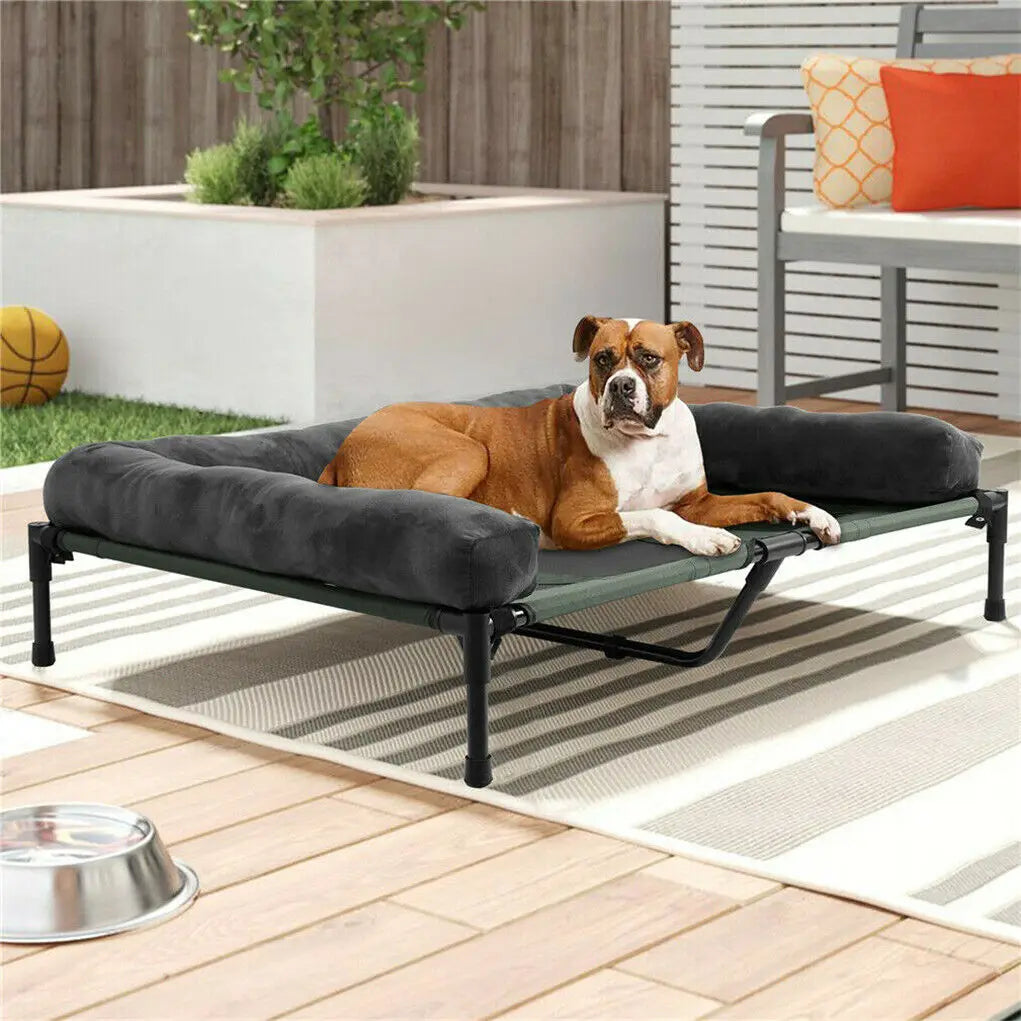 Elevated Pet Lounger Bed with Swappable Covers and Plush Bolster