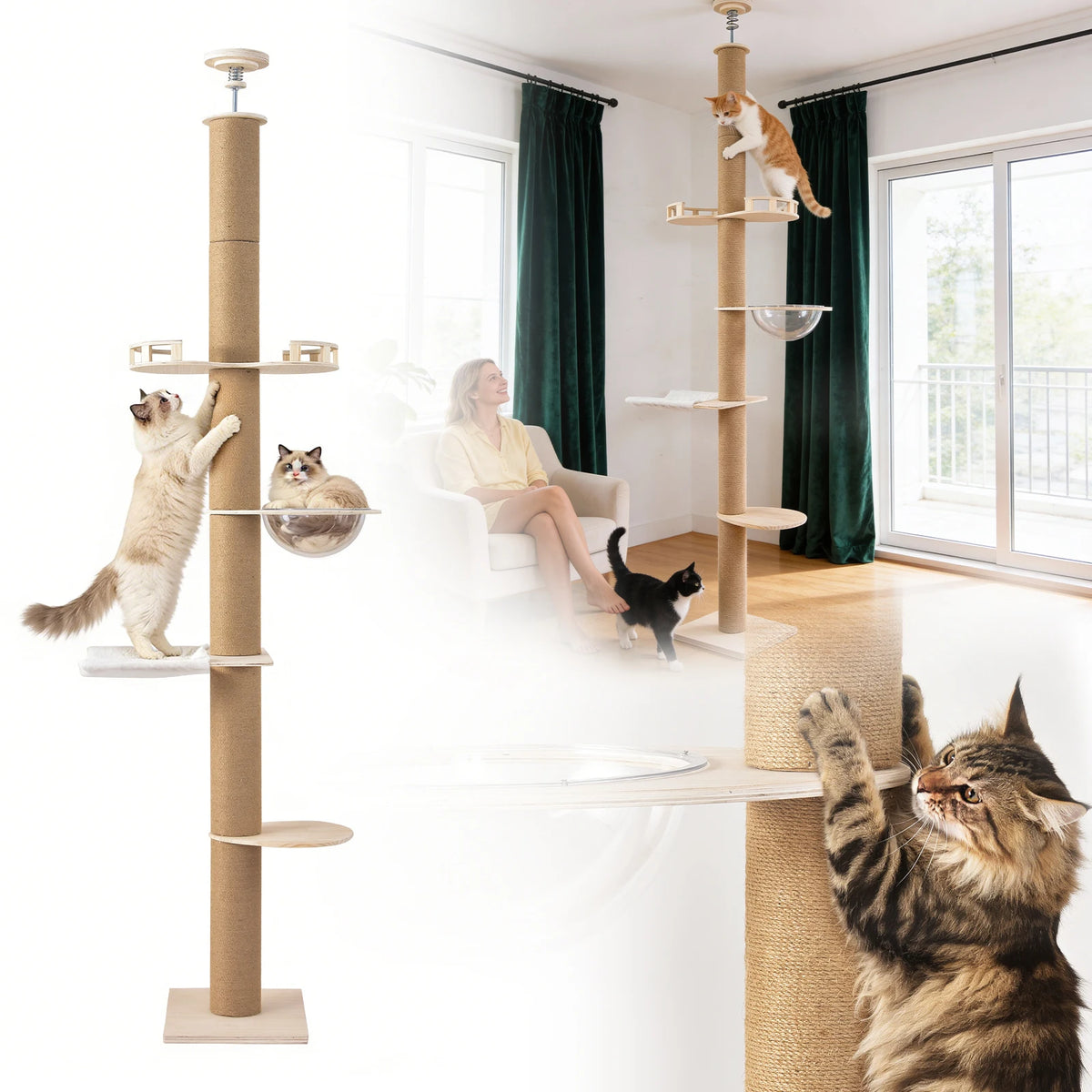 Adjustable Floor-to-Ceiling Cat Tree with Four Levels and Hammock