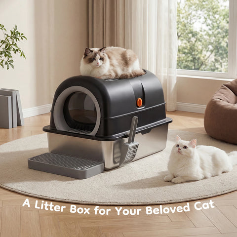 Convertible Enclosed Cat Litter Box with Dual Entry and Step Board