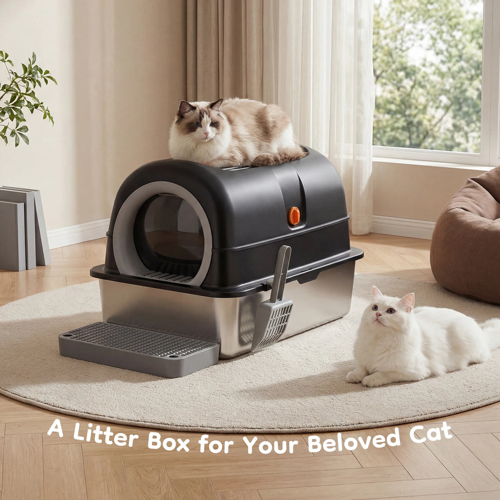 Convertible Enclosed Cat Litter Box with Dual Entry and Step Board
