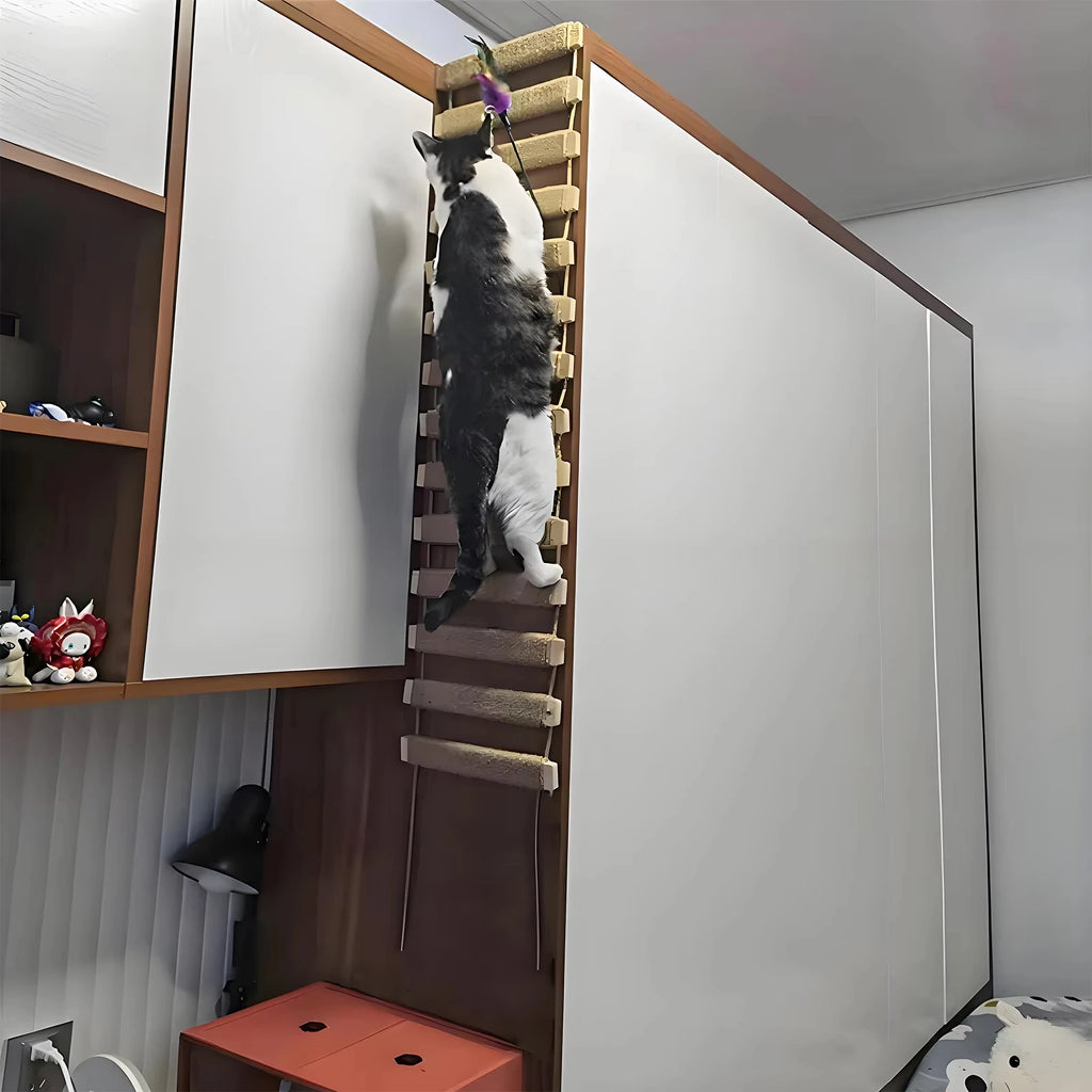 Customizable Cat Climbing Bridge for Enclosures and Wall Mounting