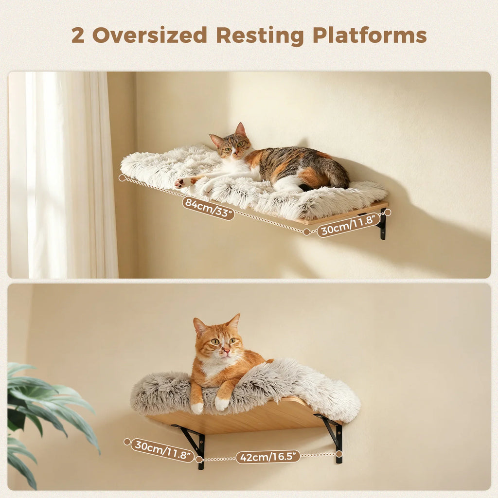 Modular Wall-Mounted Cat Climbing Set with Perches and Scratching Posts