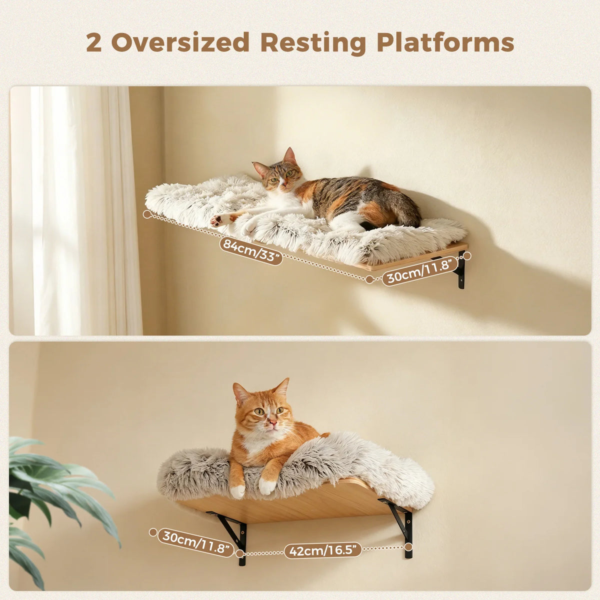 Modular Wall-Mounted Cat Climbing Set with Perches and Sisal Scratching Posts