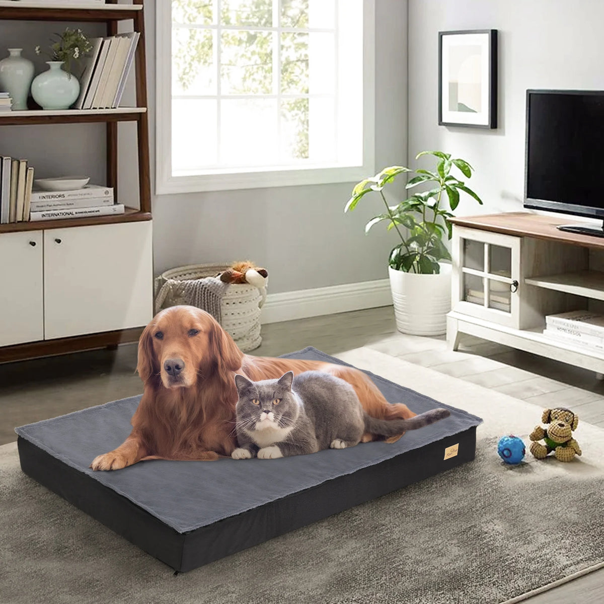 Washable Dog Pillow Bed with Supportive Base and Removable Mattress