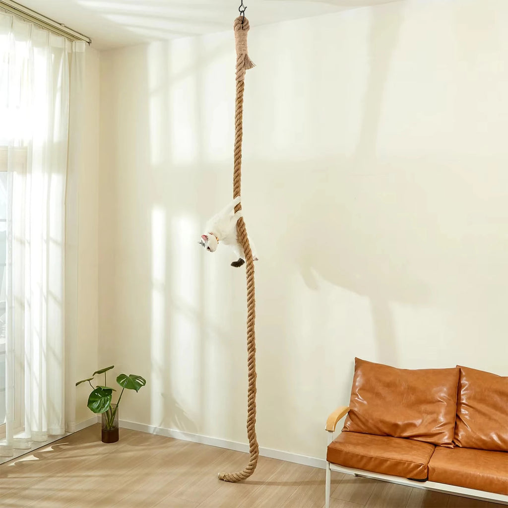 Indoor Cat Climbing Rope with Ceiling or Wall Mounting