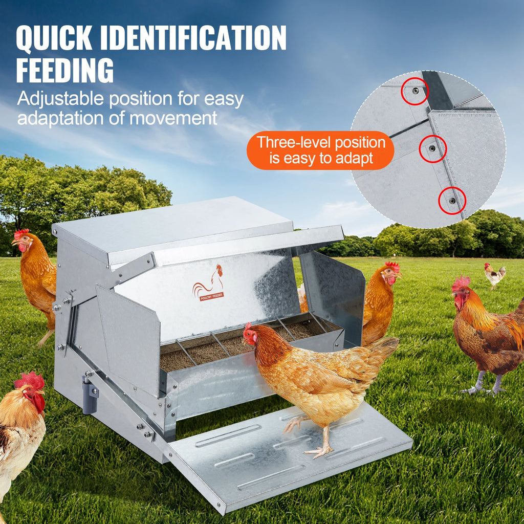 Treadle-Activated Automatic Chicken Feeder for Backyard Coops