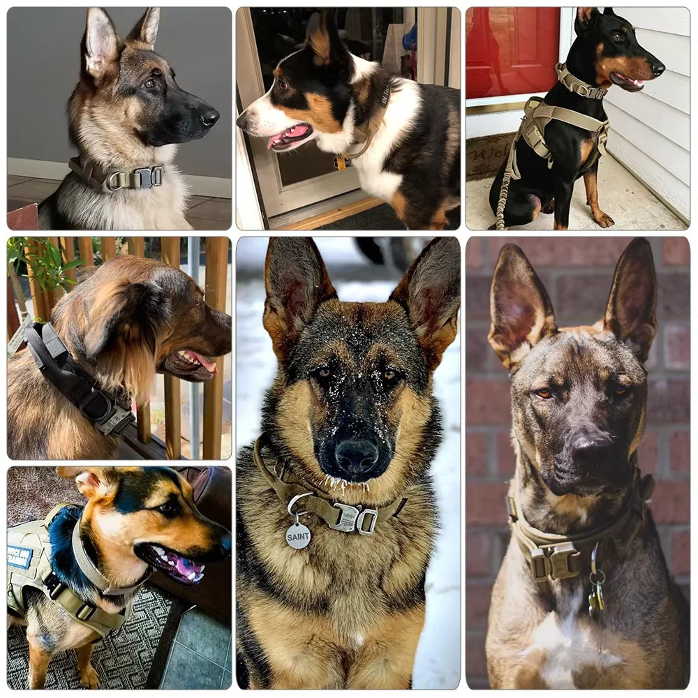 Adjustable Dog Training Collar with Control Handle and Leash Set