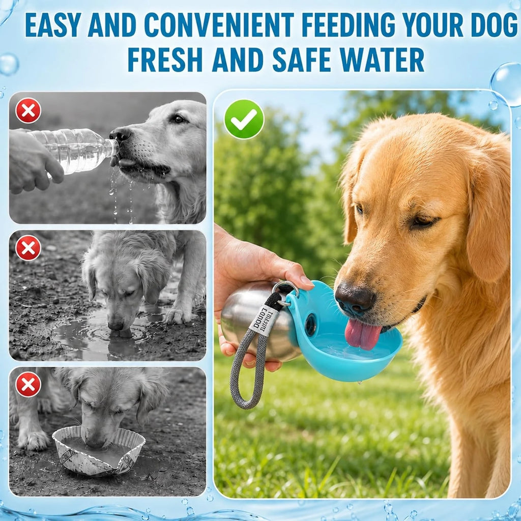 Foldable Travel Pet Water Bottle for Dogs and Cats