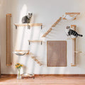 Wall-Mounted Cat Climbing Shelves for Exercise and Napping