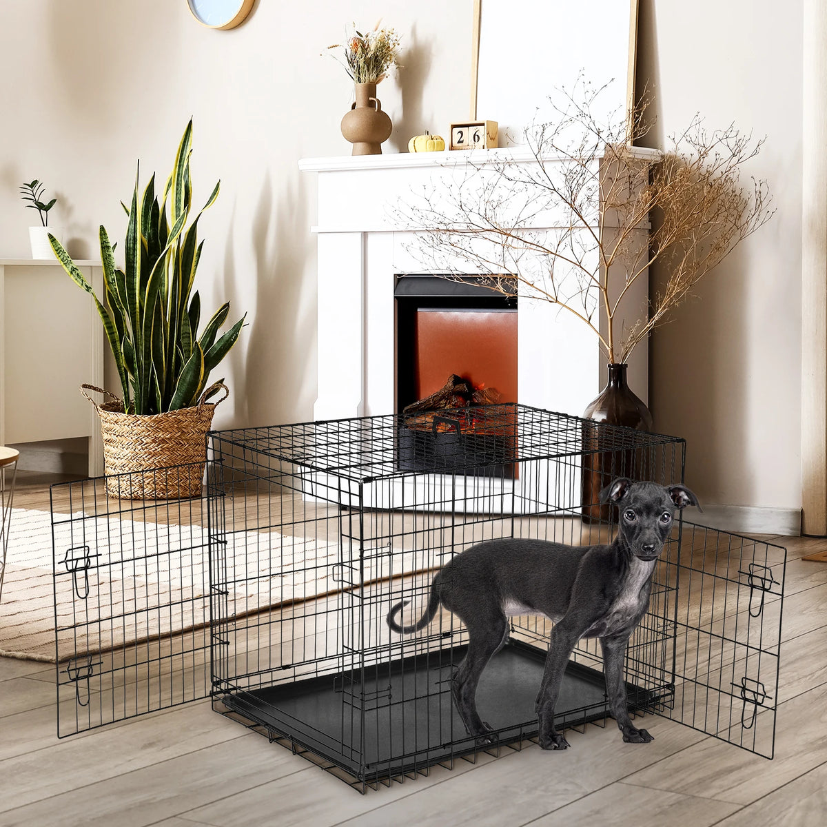 Folding Double Door Wire Dog Crate with Leak-Proof Pan