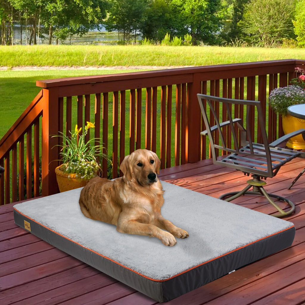 Padded Foam Dog Bed with Washable Cover and Carry Handle