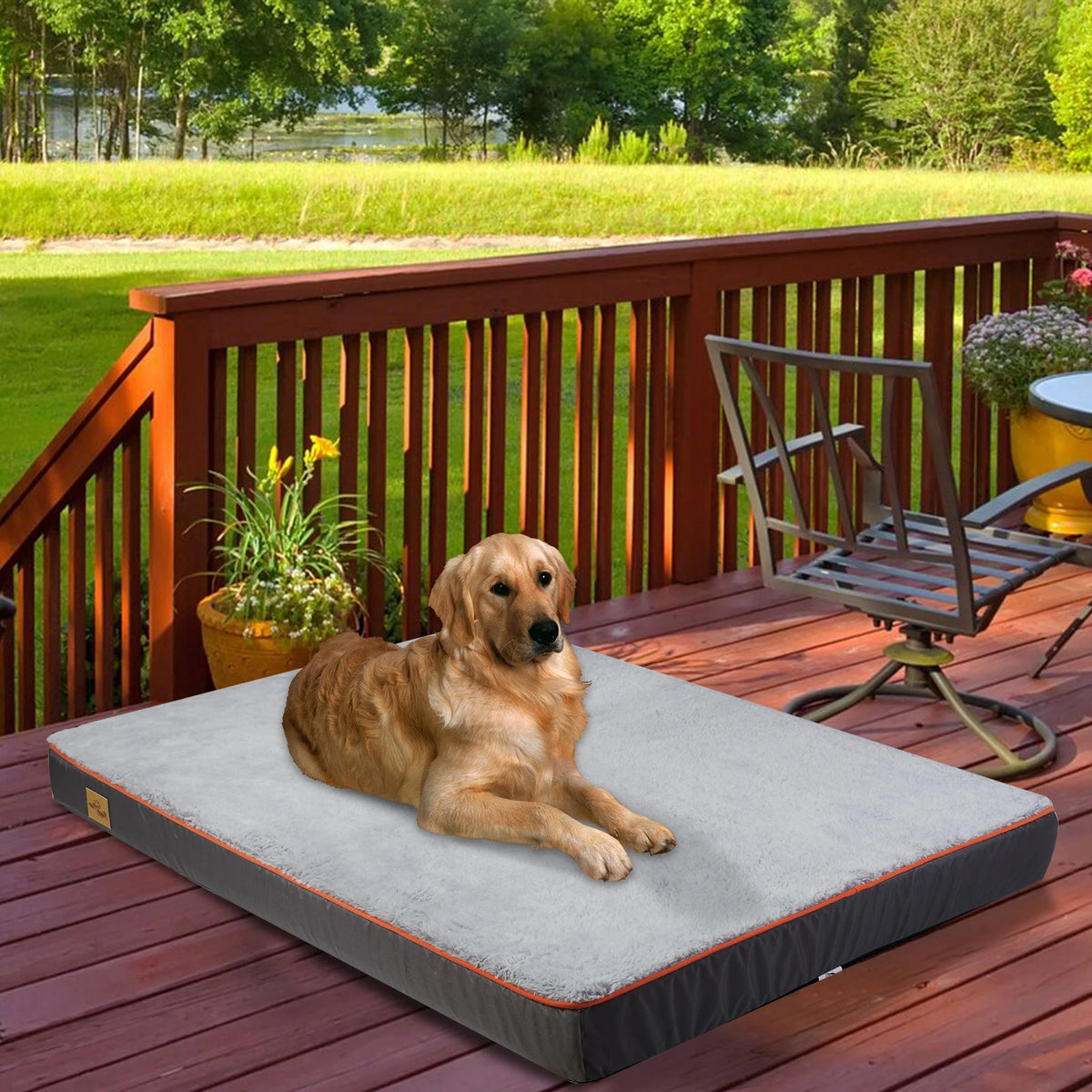 Padded Foam Dog Bed with Washable Cover and Carry Handle