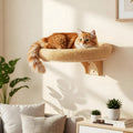 Wall-Mounted Cat Shelves and Hammock for Indoor Climbing and Rest