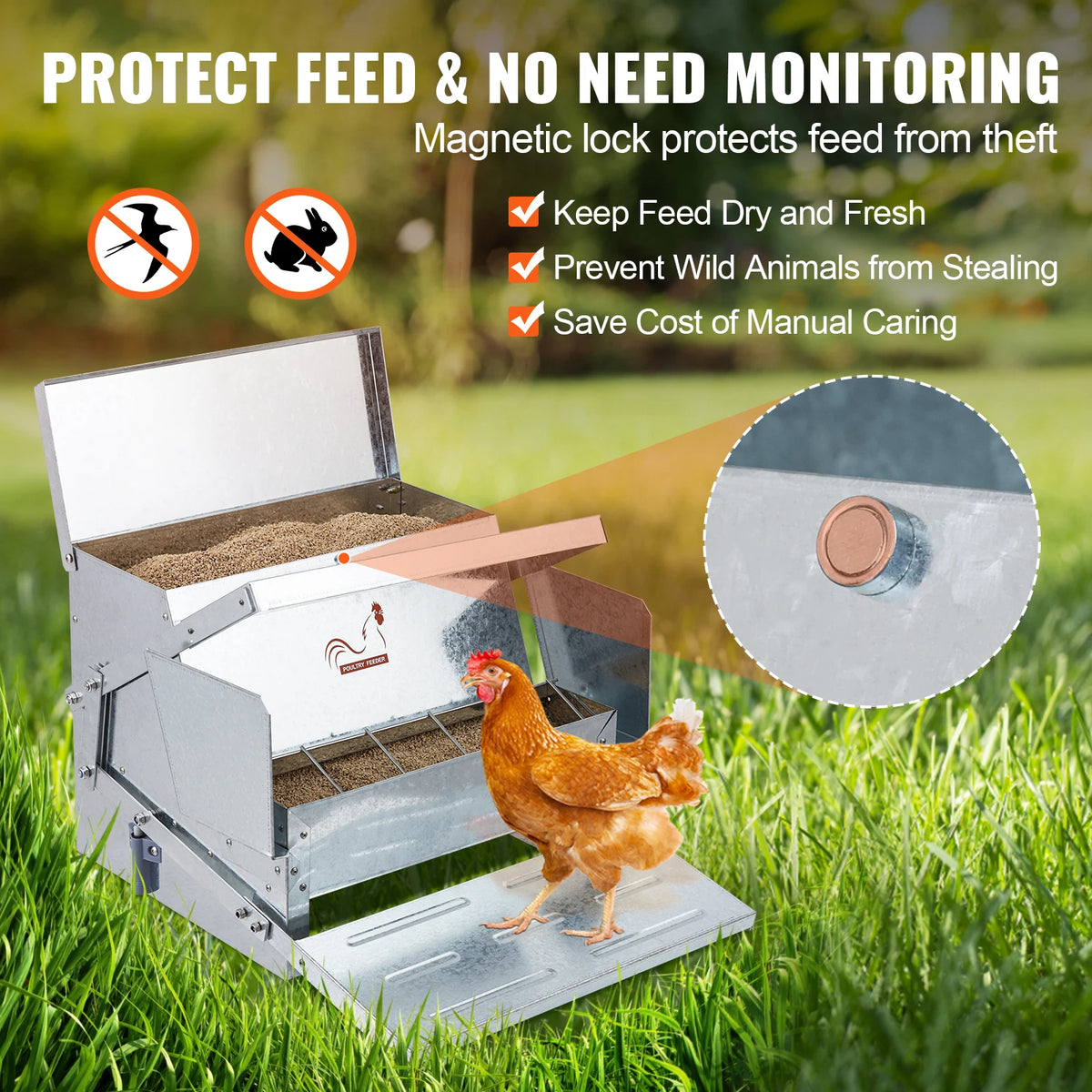 Magnetic-Lock Treadle Chicken Feeder for Backyard Poultry