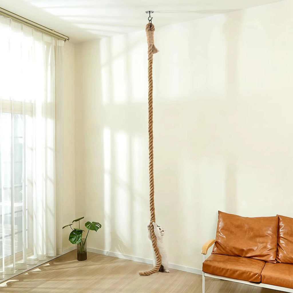 Indoor Cat Climbing Rope with Ceiling or Wall Mounting