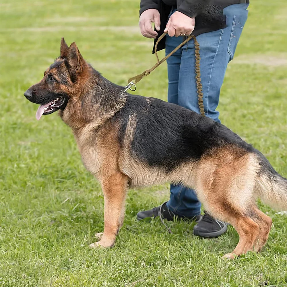 Dual-Handle Bungee Dog Leash for Training and Crowded Walks