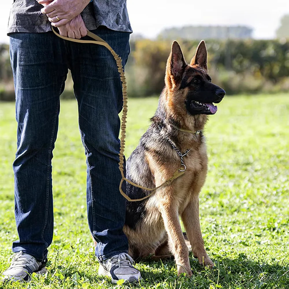 Dual-Handle Dog Leash with Shock-Absorbing Bungee for Walks and Training