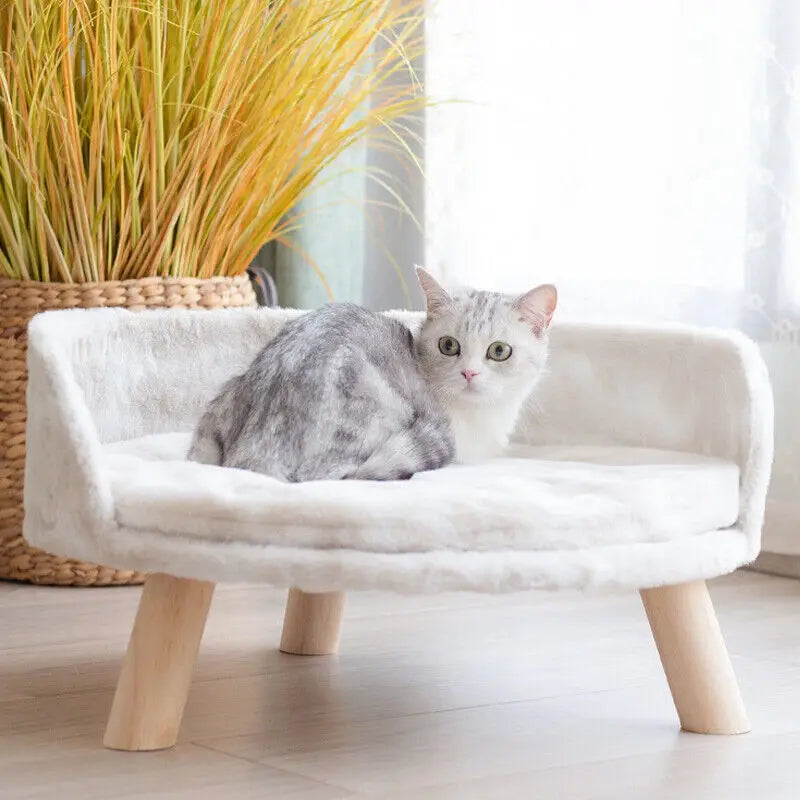Cozy Cat Bed with Removable Cushion and Anti-Slip Legs