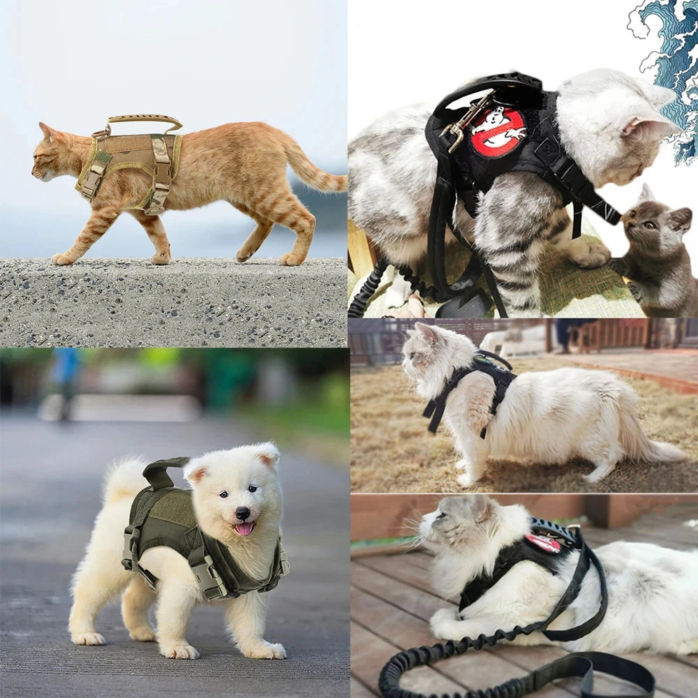 Adjustable Cat Vest Harness with Enclosed Ring and Air Cushion Support