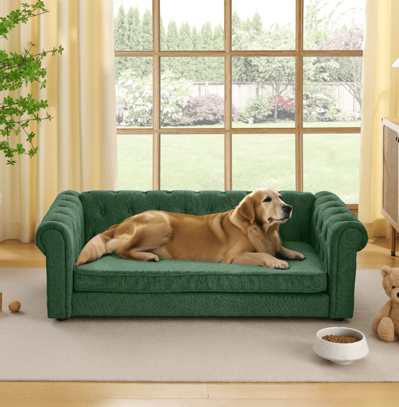 Ultra-Large Beige Pet Sofa with Elevated Dog Bed and Solid furniture-style Legs