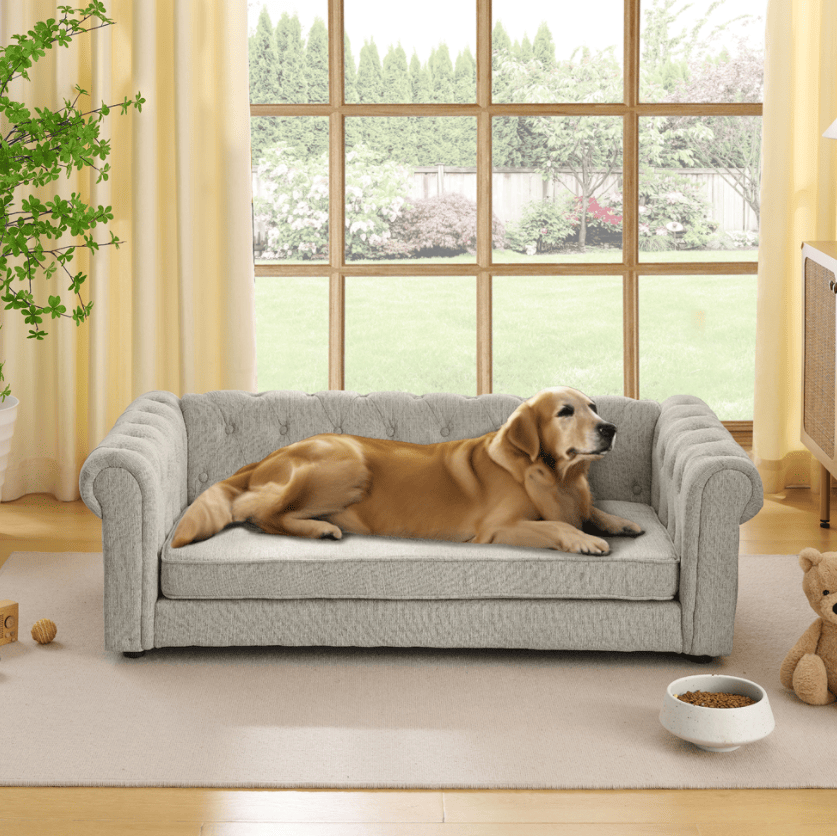 Ultra-Large Beige Pet Sofa with Elevated Dog Bed and Solid furniture-style Legs