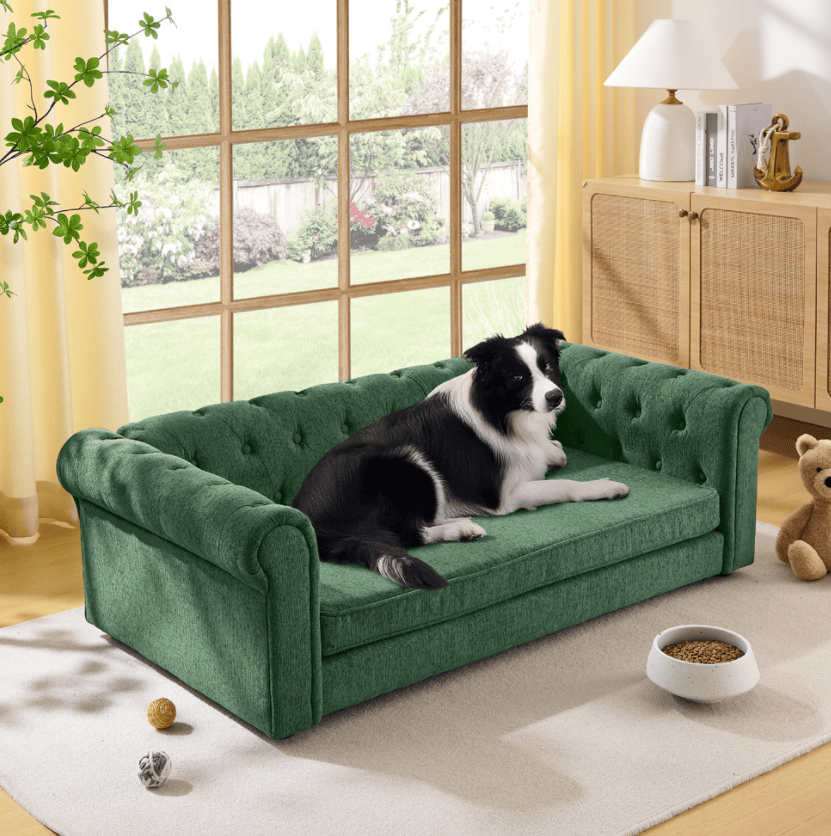 Ultra-Large Beige Pet Sofa with Elevated Dog Bed and Solid furniture-style Legs