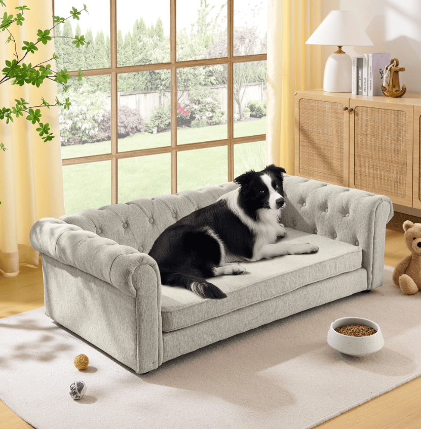 Ultra-Large Beige Pet Sofa with Elevated Dog Bed and Solid furniture-style Legs