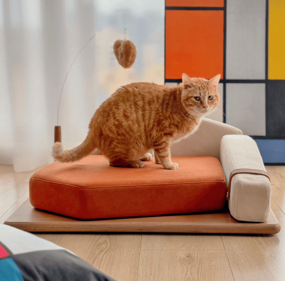 Modern furniture-style Pet Bed with Oak Veneer and Removable Cushion for Medium to Large Dogs